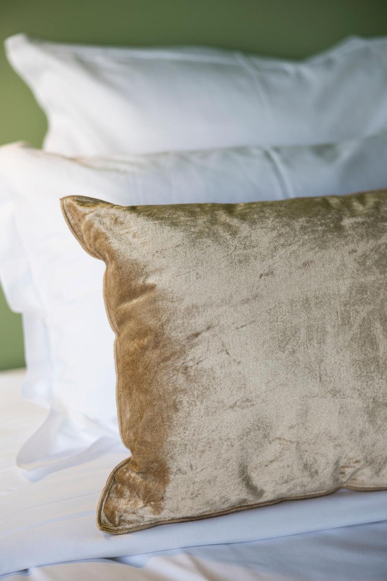 Atelier K - Art Guesthouse In Brussels Ixelles Ngoại thất bức ảnh